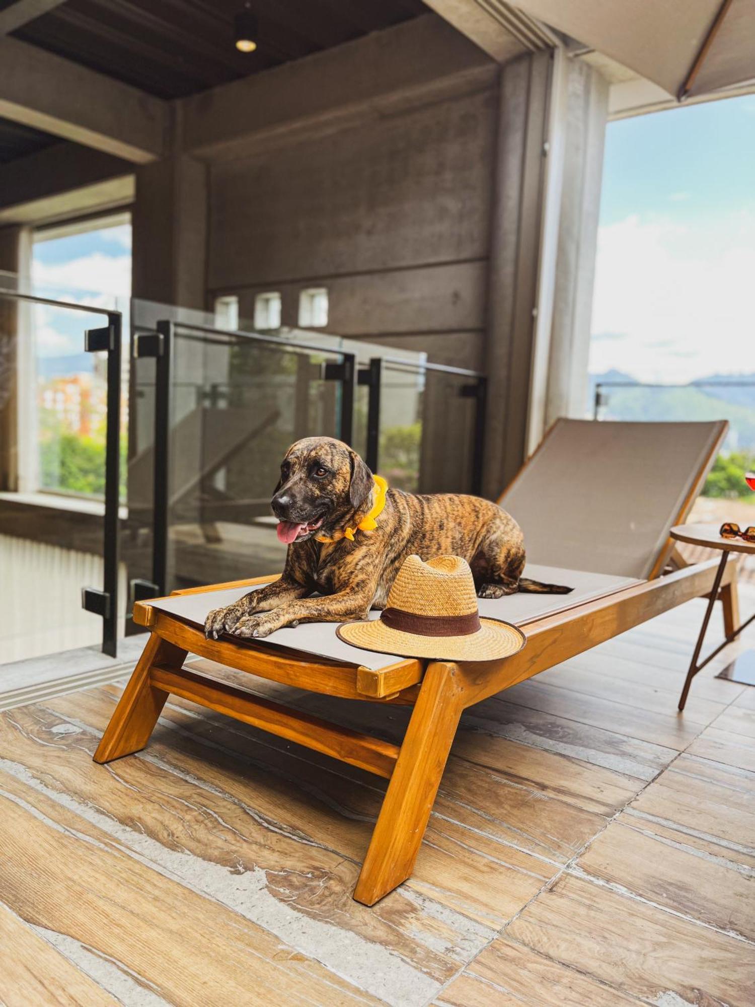 Topa House Medellin Bagian luar foto